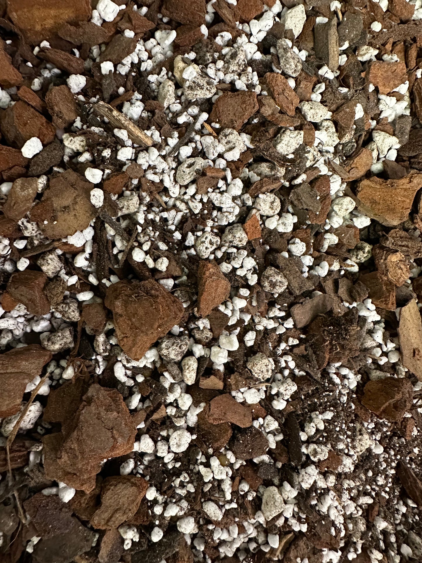 Custom soil mix- 1 Gallon Bag